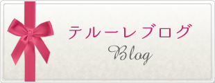 テルーレブログ
