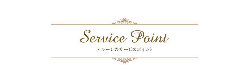 テルーレのサービスポイント